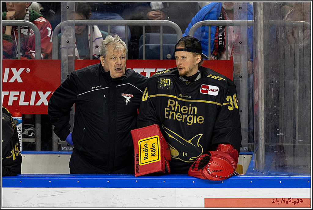PENNY DEL;  Kölner Haie - ERC Ingolstadt; Köln, 25.11.2022